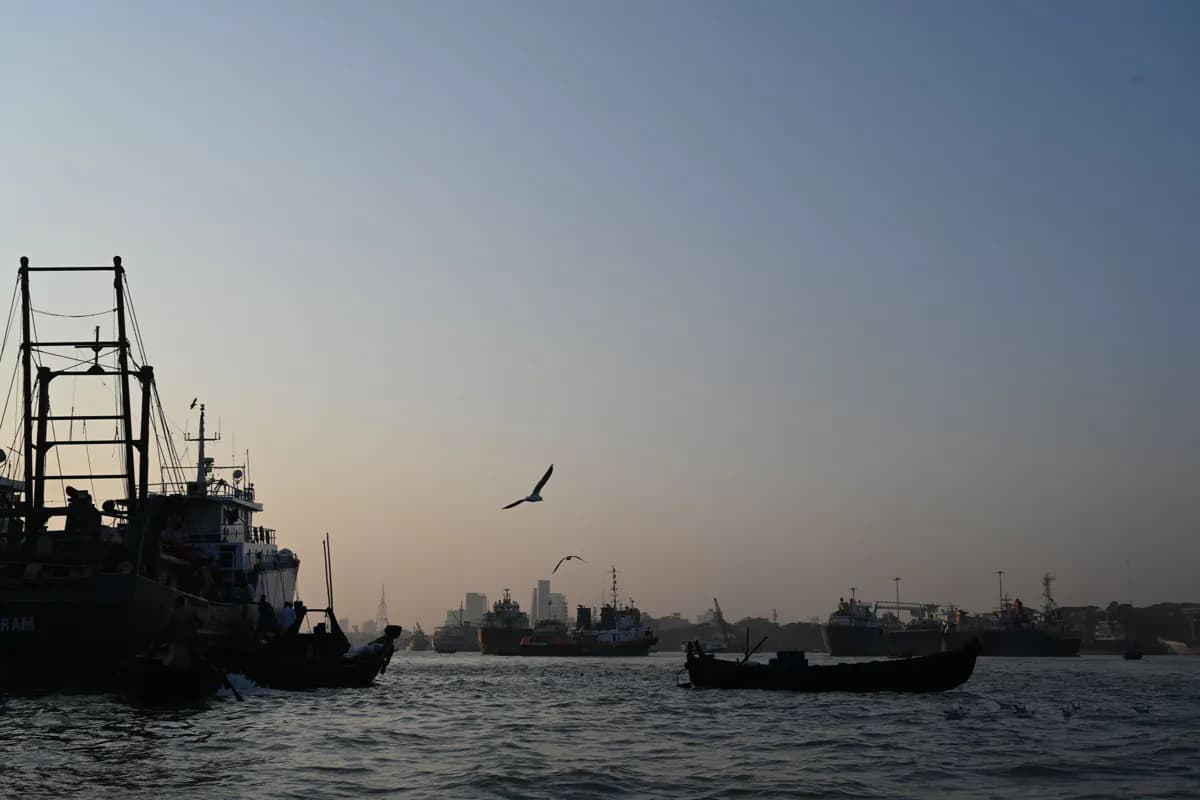 Fishing boats and ships in silhouette on the water at sunset, with seagulls flying overhead